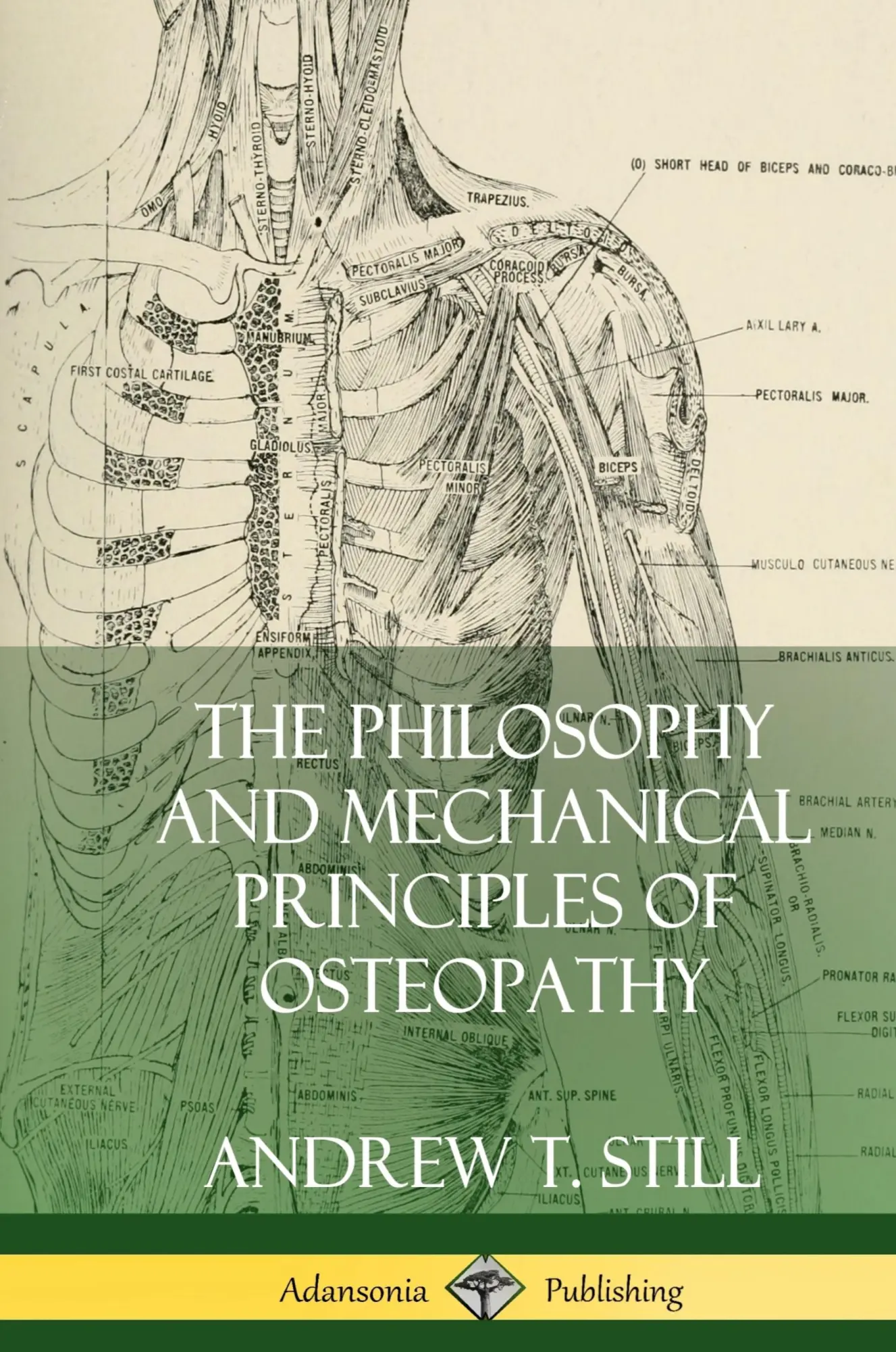 Cover: 9780359022526 | The Philosophy and Mechanical Principles of Osteopathy (Hardcover)