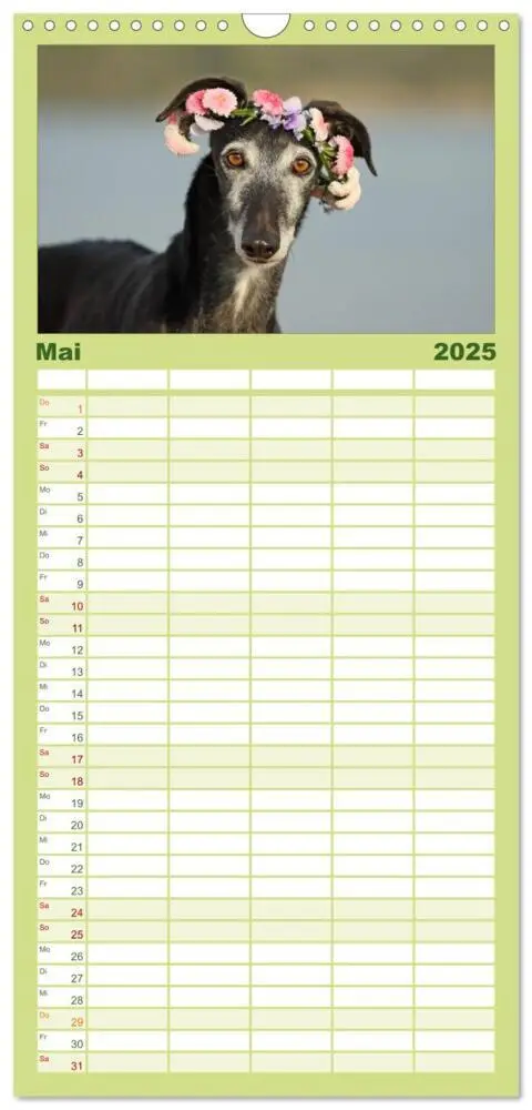 Bild: 9783457112526 | Familienplaner 2025 - Der Windhundekalender mit 5 Spalten...