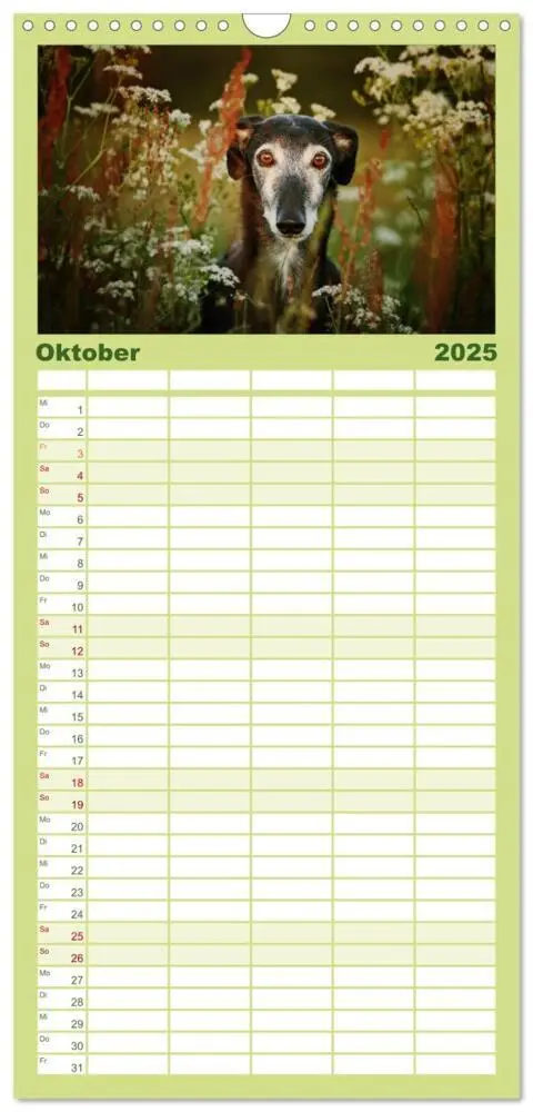Bild: 9783457112526 | Familienplaner 2025 - Der Windhundekalender mit 5 Spalten...