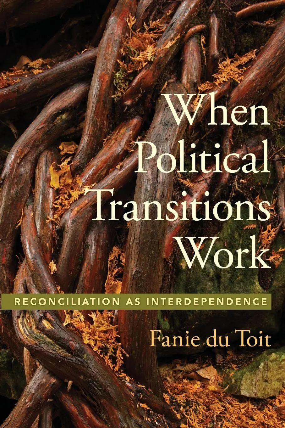 Cover: 9780197582626 | WHEN POLITICAL TRANSITIONS WORK SSP P | Du Toit | Taschenbuch | 2021