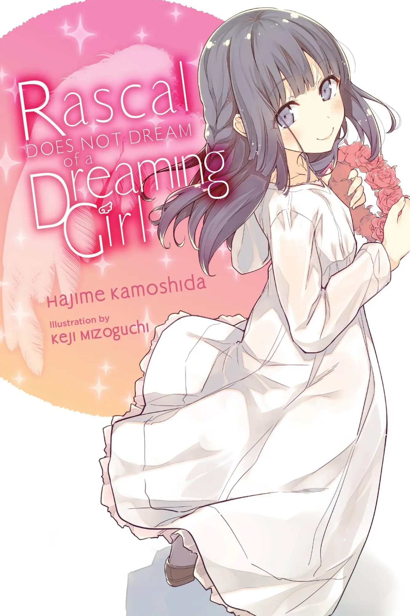Cover: 9781975312626 | Rascal Does Not Dream of a Dreaming Girl (Light Novel) | Kamoshida