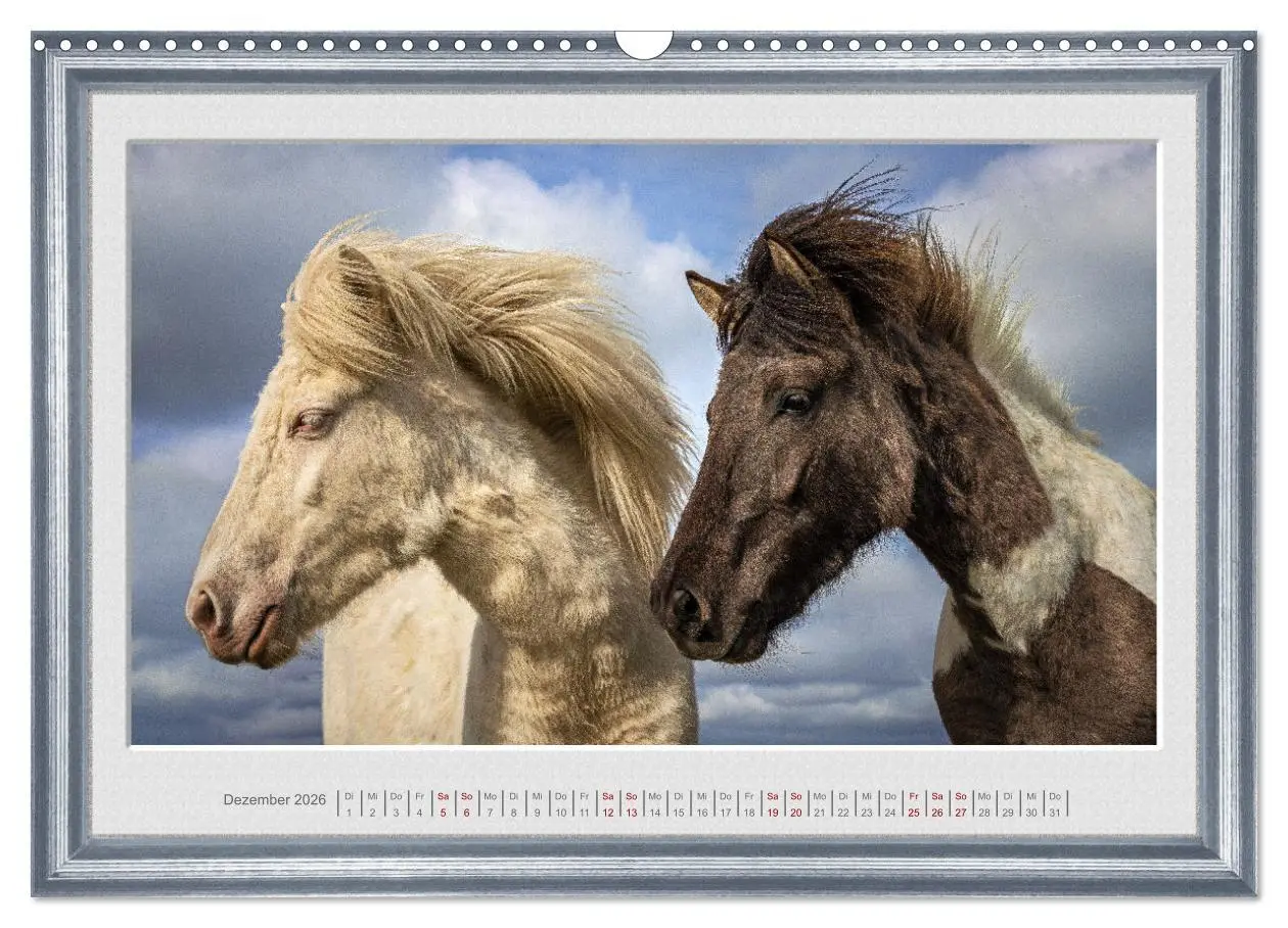 Bild: 9783457582626 | Ich bin ein Isländer (Wandkalender 2026 DIN A3 quer), CALVENDO...