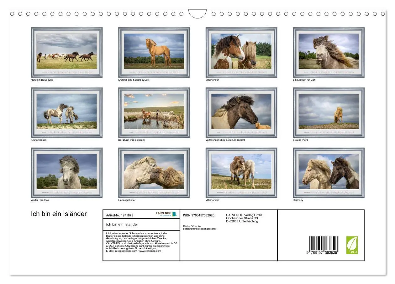 Bild: 9783457582626 | Ich bin ein Isländer (Wandkalender 2026 DIN A3 quer), CALVENDO...
