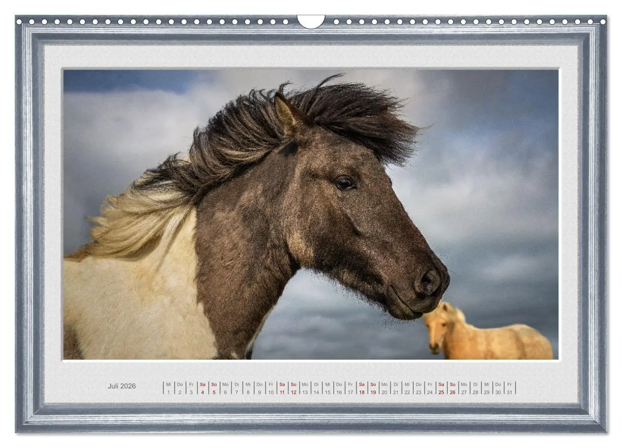 Bild: 9783457582626 | Ich bin ein Isländer (Wandkalender 2026 DIN A3 quer), CALVENDO...