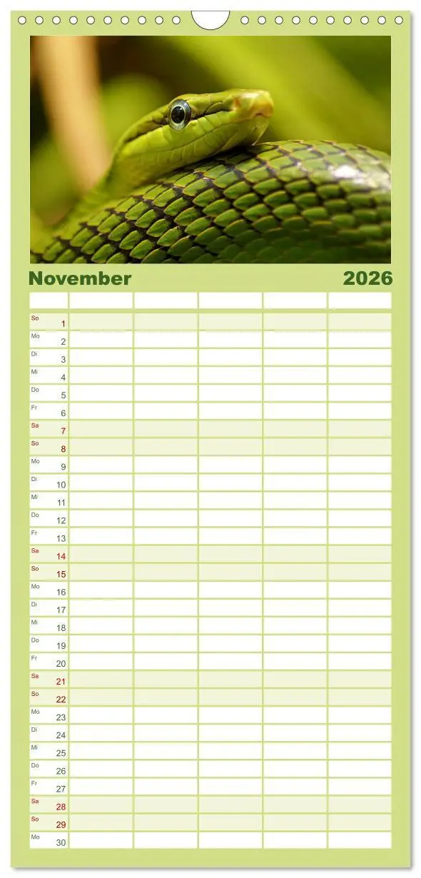 Bild: 9783516502626 | Familienplaner 2026 - Reptilien &amp; Amphibien Portraits mit 5 Spalten...