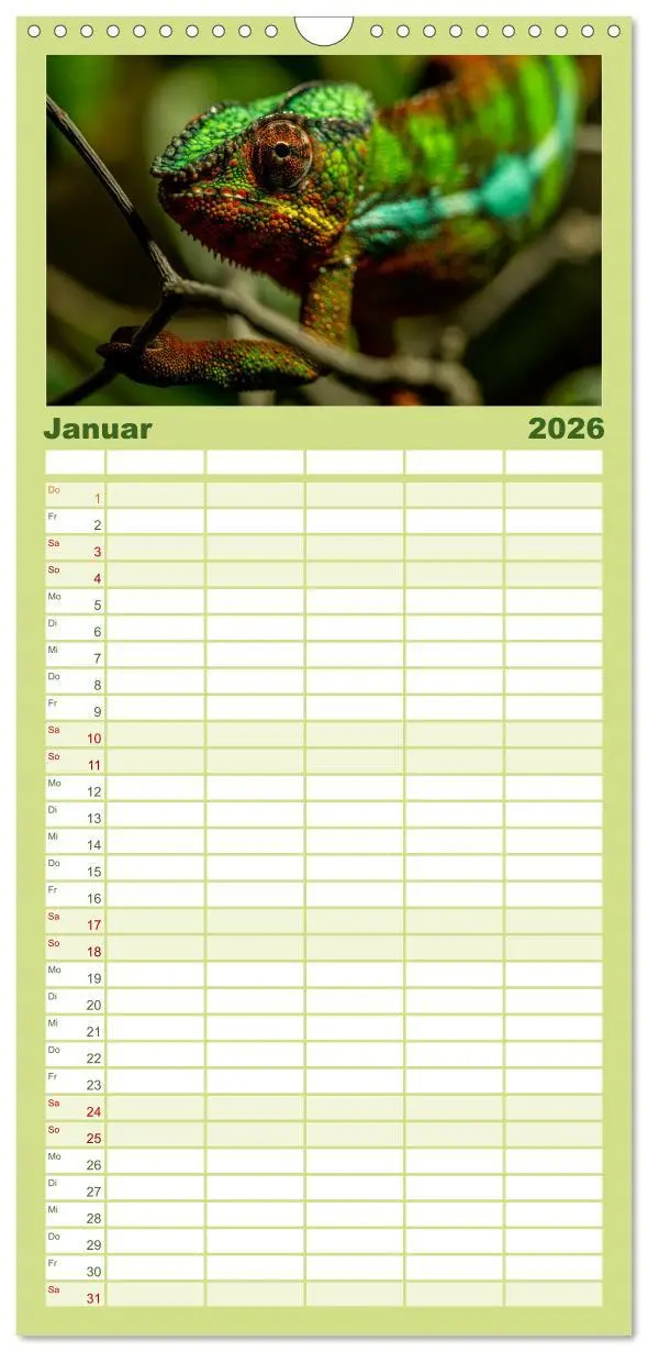 Bild: 9783516502626 | Familienplaner 2026 - Reptilien &amp; Amphibien Portraits mit 5 Spalten...