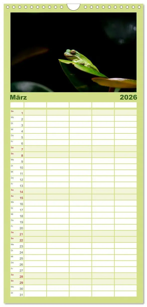 Bild: 9783516502626 | Familienplaner 2026 - Reptilien &amp; Amphibien Portraits mit 5 Spalten...