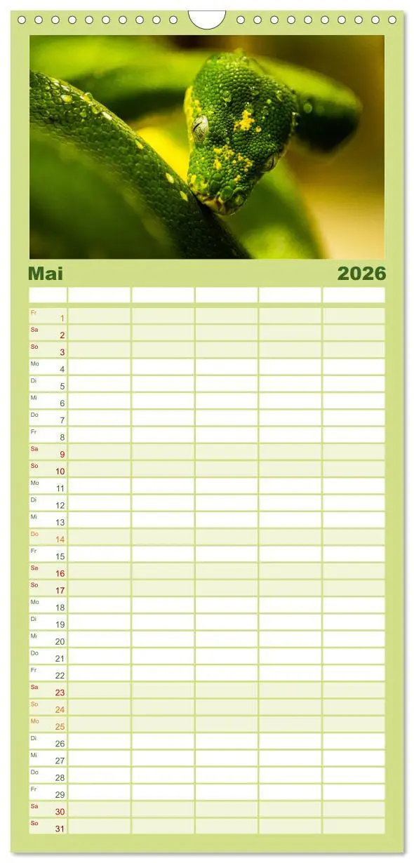 Bild: 9783516502626 | Familienplaner 2026 - Reptilien &amp; Amphibien Portraits mit 5 Spalten...