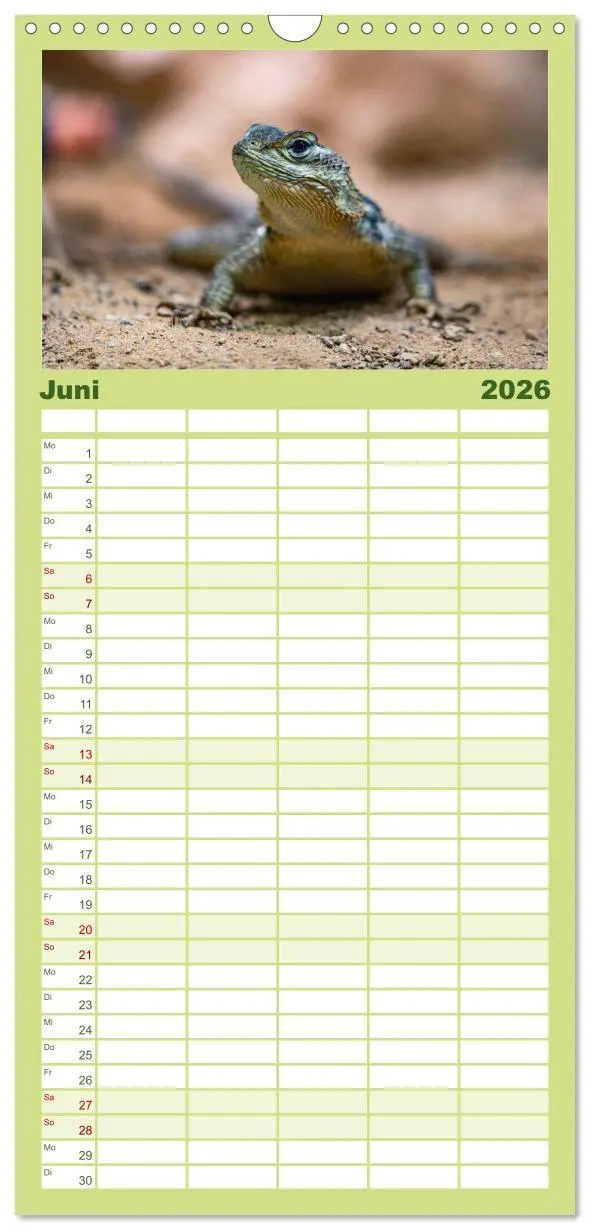 Bild: 9783516502626 | Familienplaner 2026 - Reptilien &amp; Amphibien Portraits mit 5 Spalten...