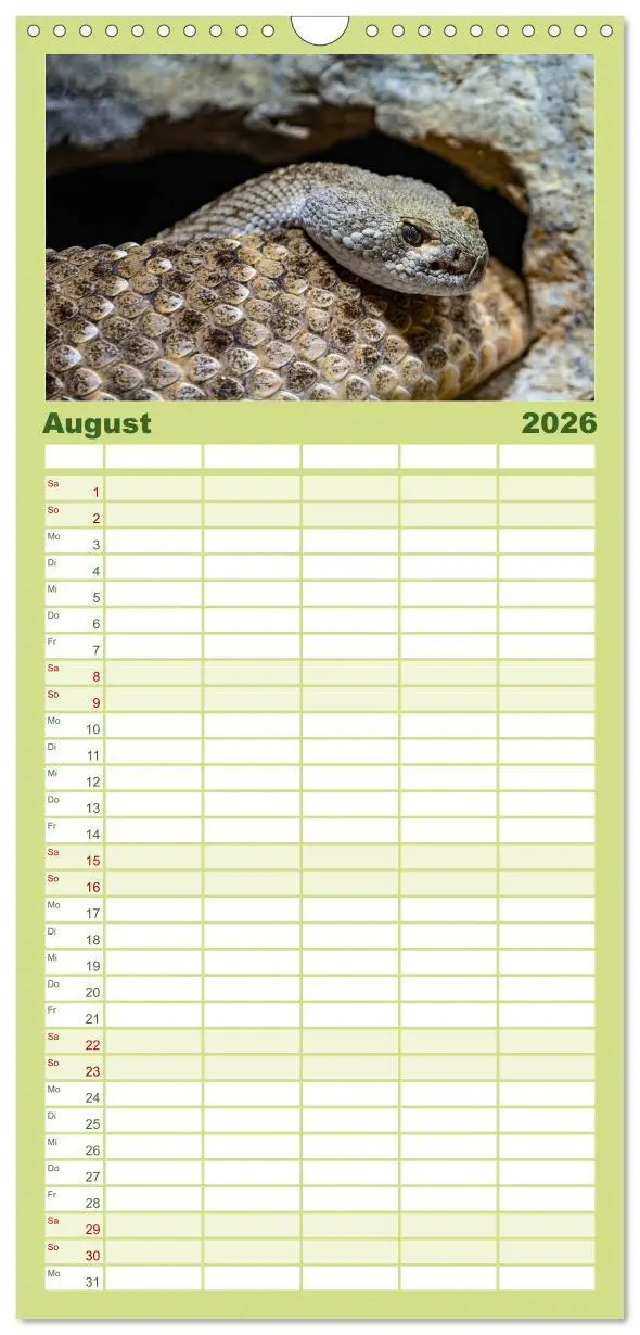 Bild: 9783516502626 | Familienplaner 2026 - Reptilien &amp; Amphibien Portraits mit 5 Spalten...