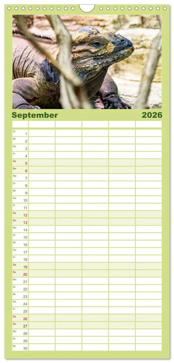 Bild: 9783516502626 | Familienplaner 2026 - Reptilien &amp; Amphibien Portraits mit 5 Spalten...