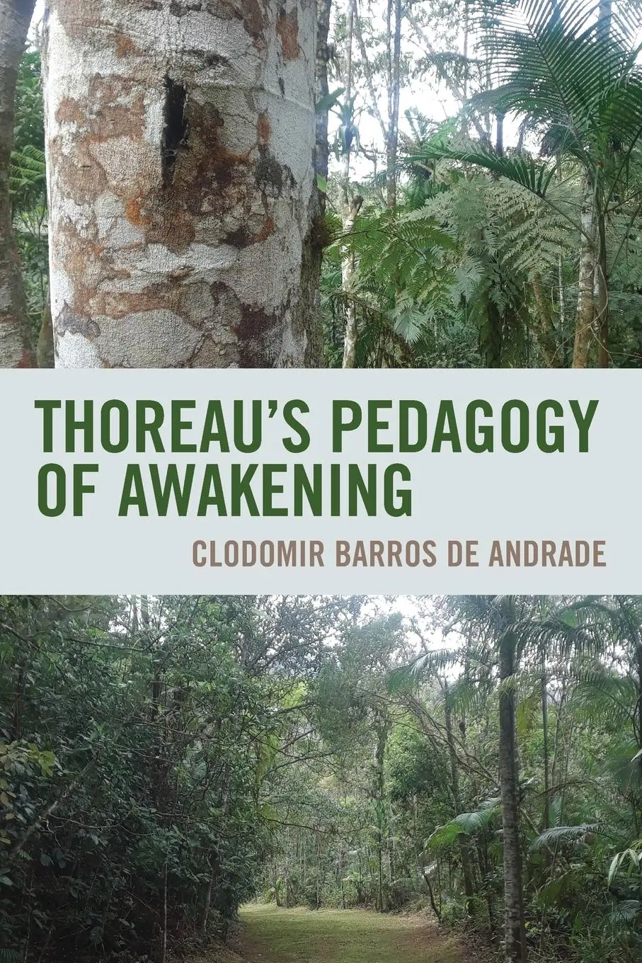 Cover: 9780761872726 | Thoreau's Pedagogy of Awakening | Clodomir Barros de Andrade | Buch