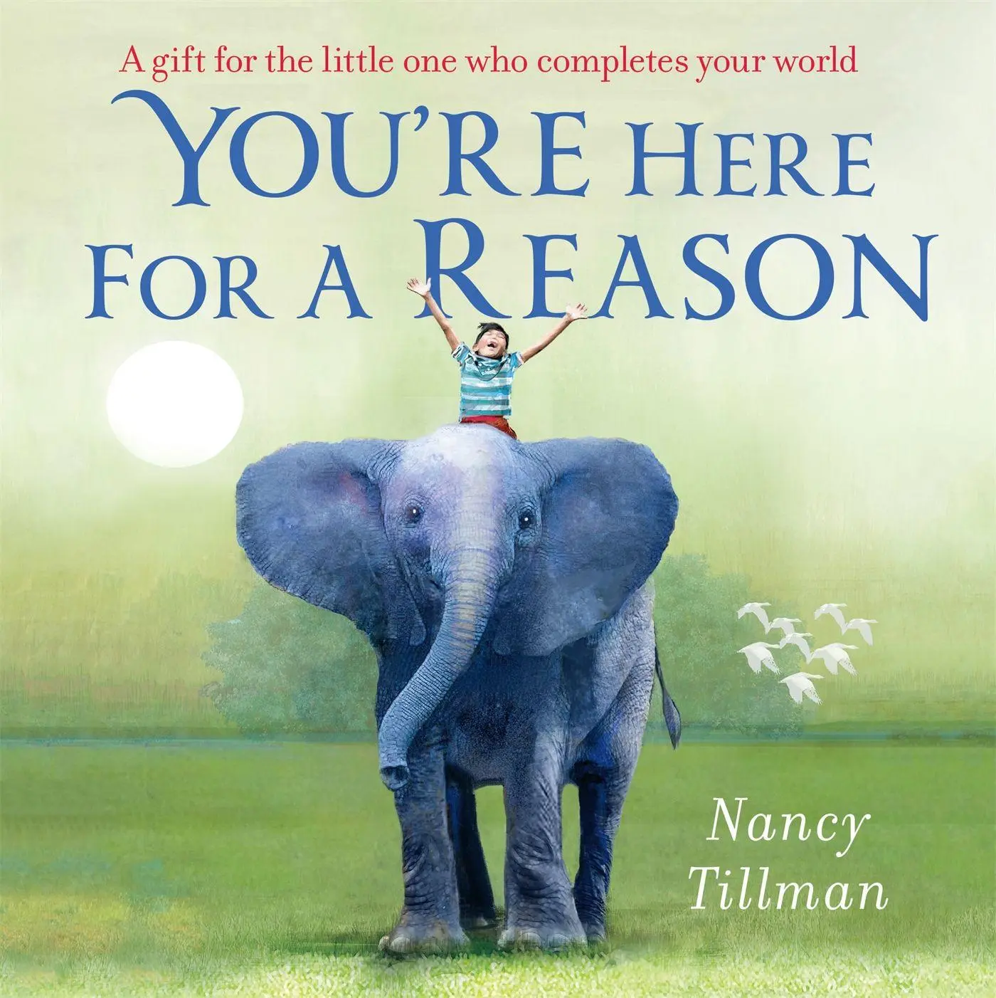 Cover: 9781035002726 | You're Here for a Reason | Nancy Tillman | Buch | Papp-Bilderbuch