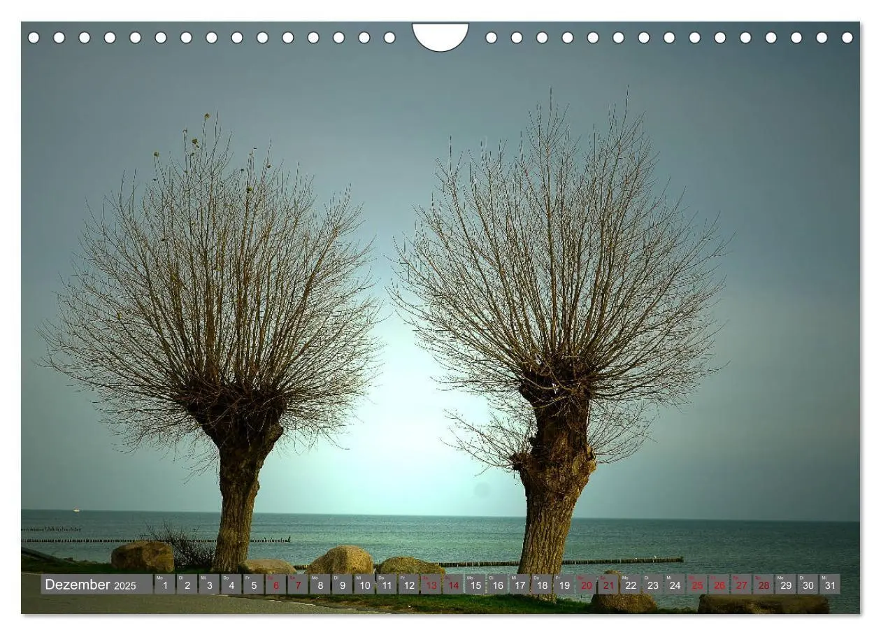 Bild: 9783435242726 | Zauberhaftes Boltenhagen (Wandkalender 2025 DIN A4 quer), CALVENDO...