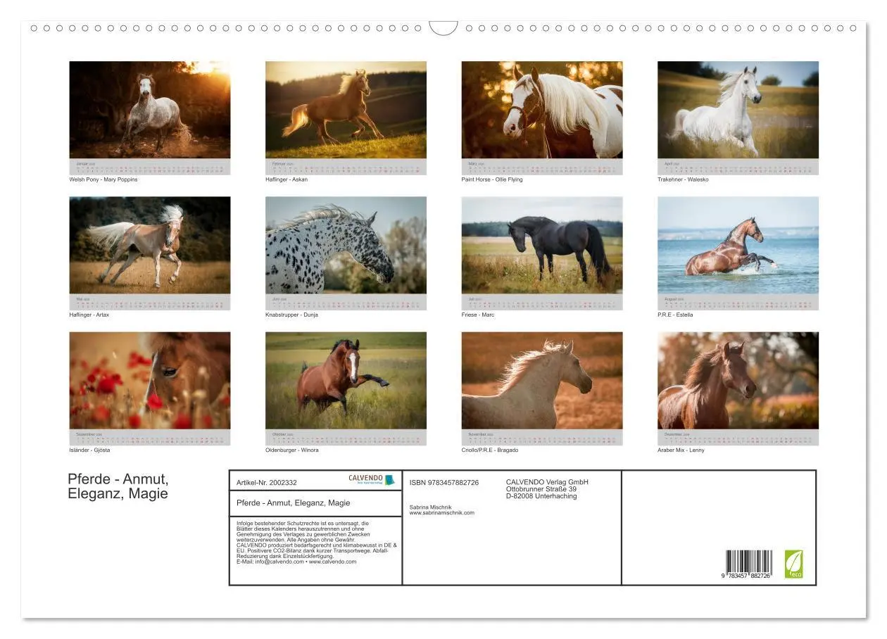 Bild: 9783457882726 | Pferde - Anmut, Eleganz, Magie (Wandkalender 2026 DIN A2 quer),...