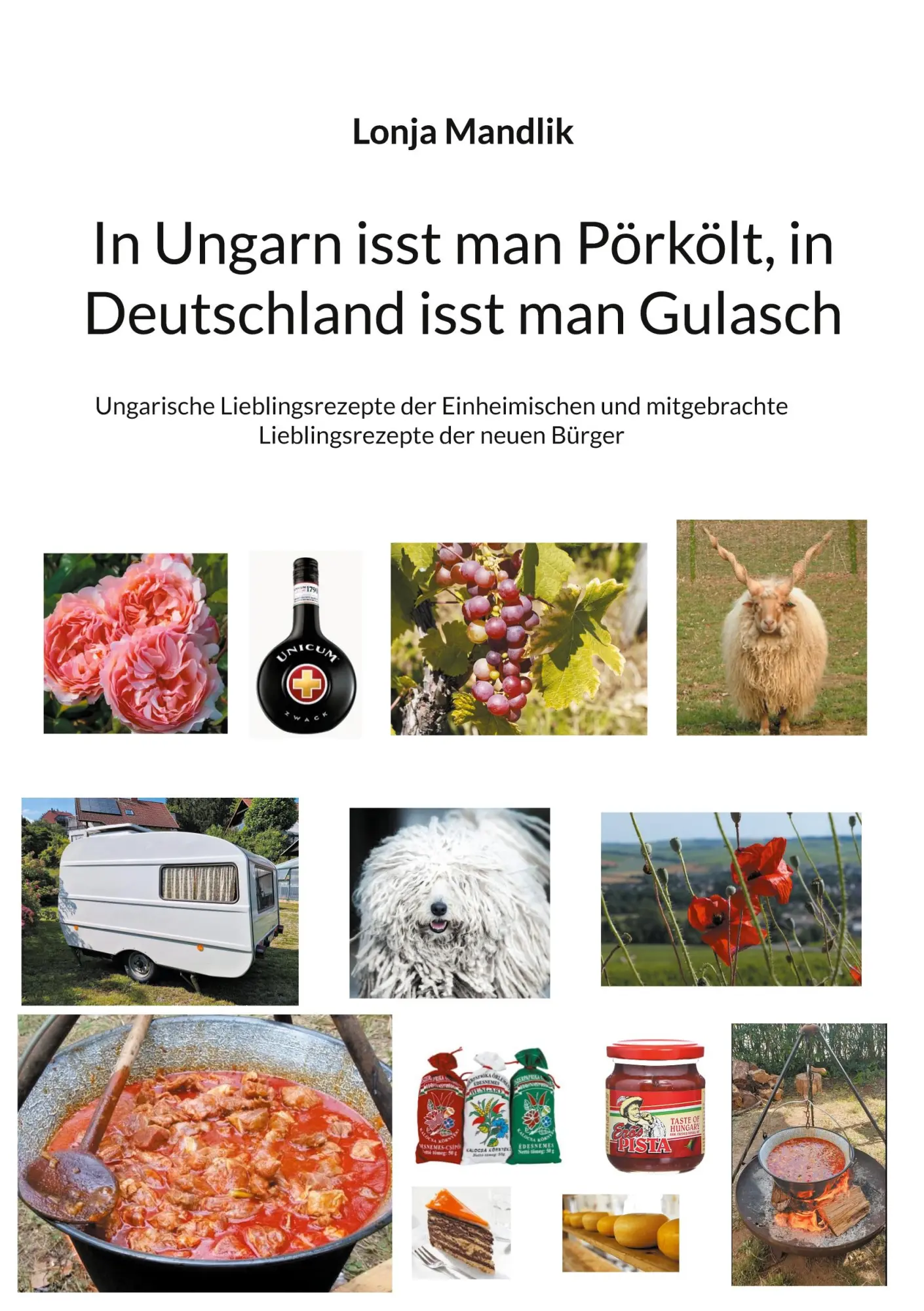 Cover: 9783769352726 | In Ungarn isst man Pörkölt, in Deutschland isst man Gulasch | Mandlik