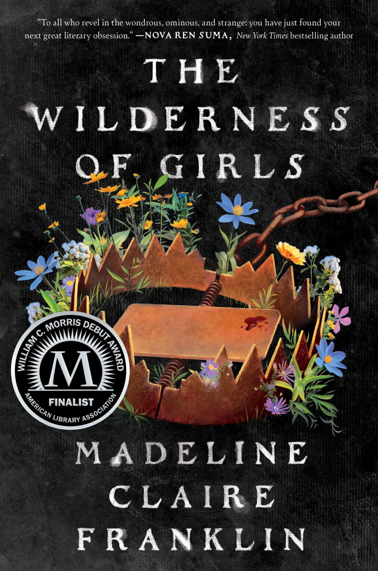Cover: 9781638932826 | The Wilderness of Girls | Madeline Claire Franklin | Taschenbuch