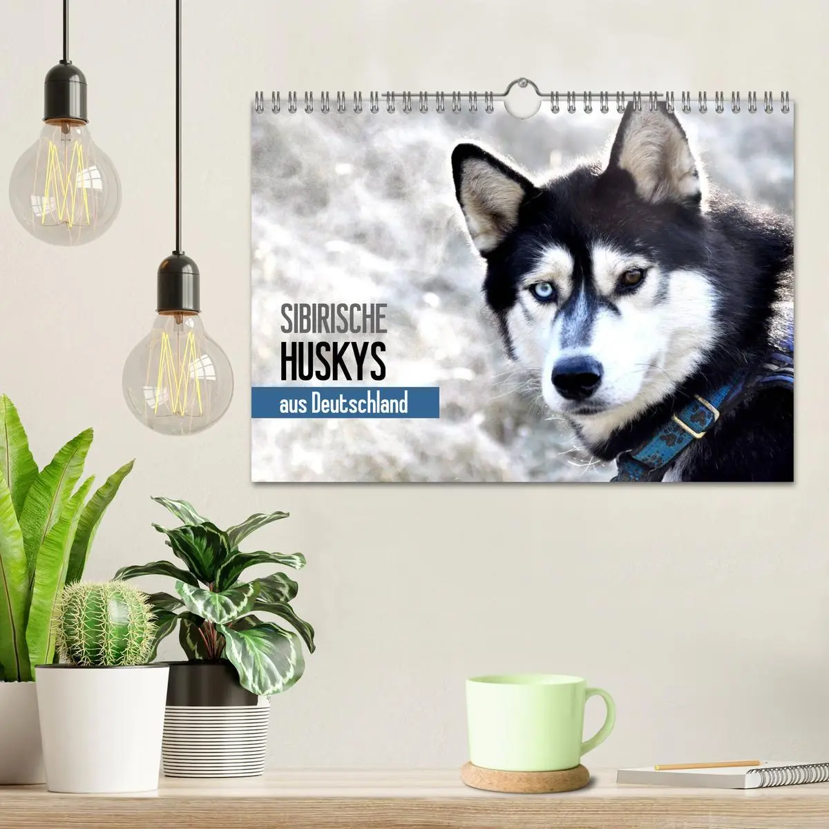 Bild: 9783516102826 | Sibirische Huskys aus Deutschland (Wandkalender 2026 DIN A4 quer),...