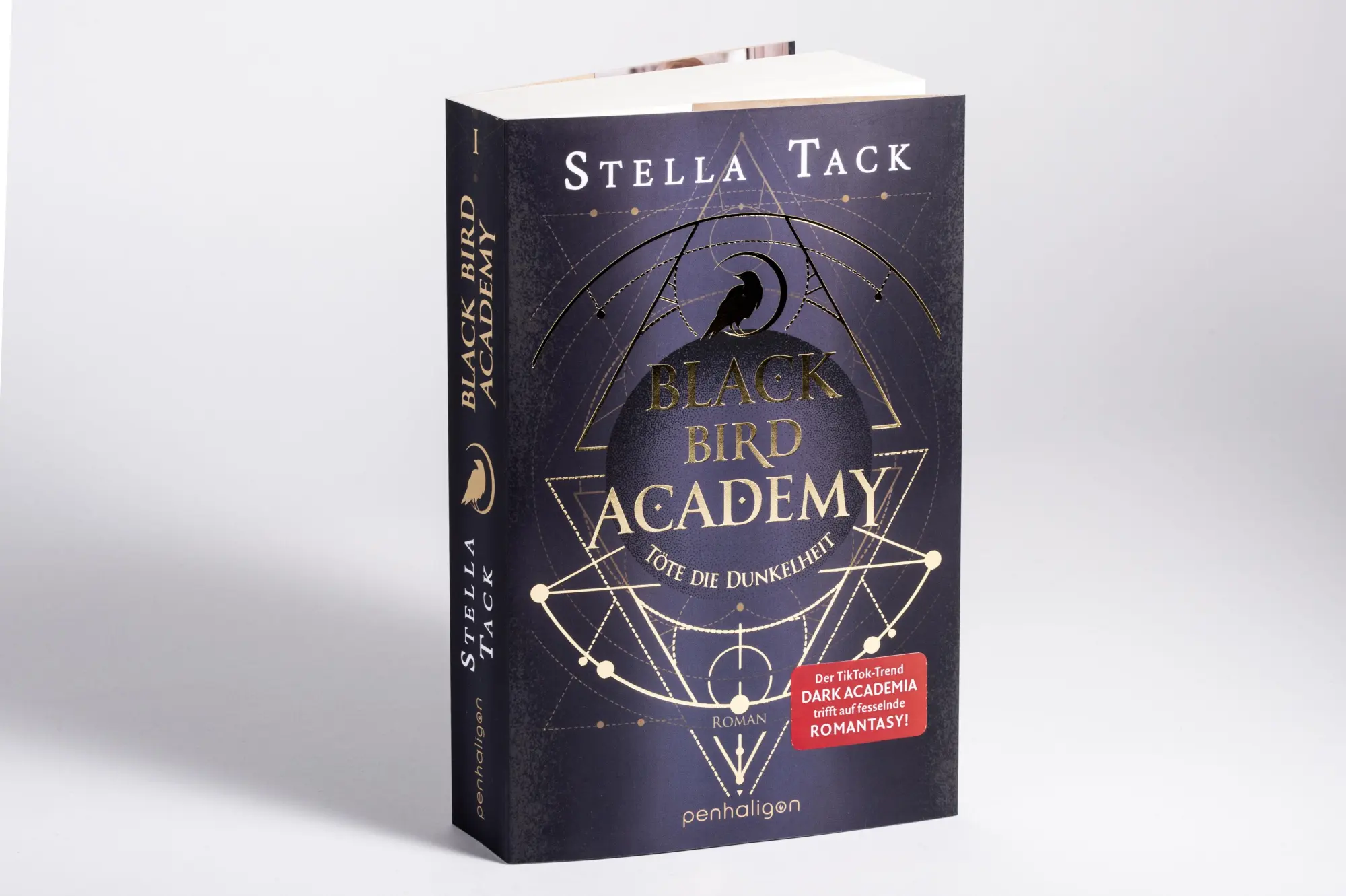 Bild: 9783764532826 | Black Bird Academy - Töte die Dunkelheit | Stella Tack | Taschenbuch