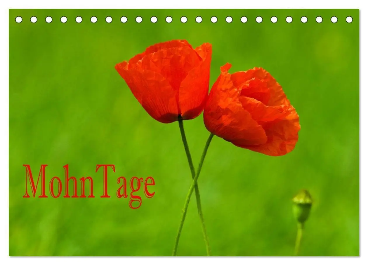 Cover: 9783435462926 | MohnTage (Tischkalender 2025 DIN A5 quer), CALVENDO Monatskalender