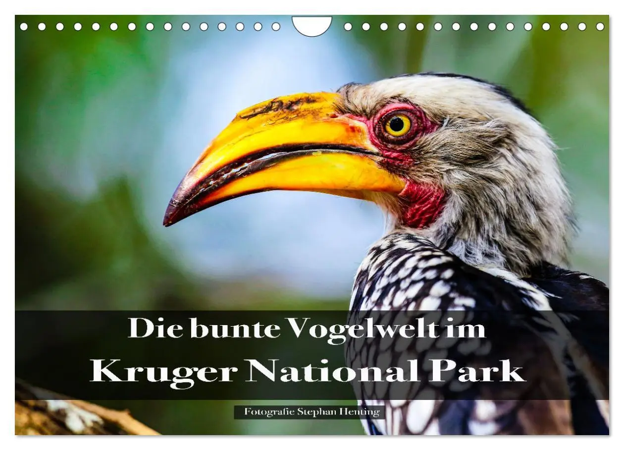 Cover: 9783457622926 | Die bunte Vogelwelt im Kruger National Park (Wandkalender 2026 DIN...