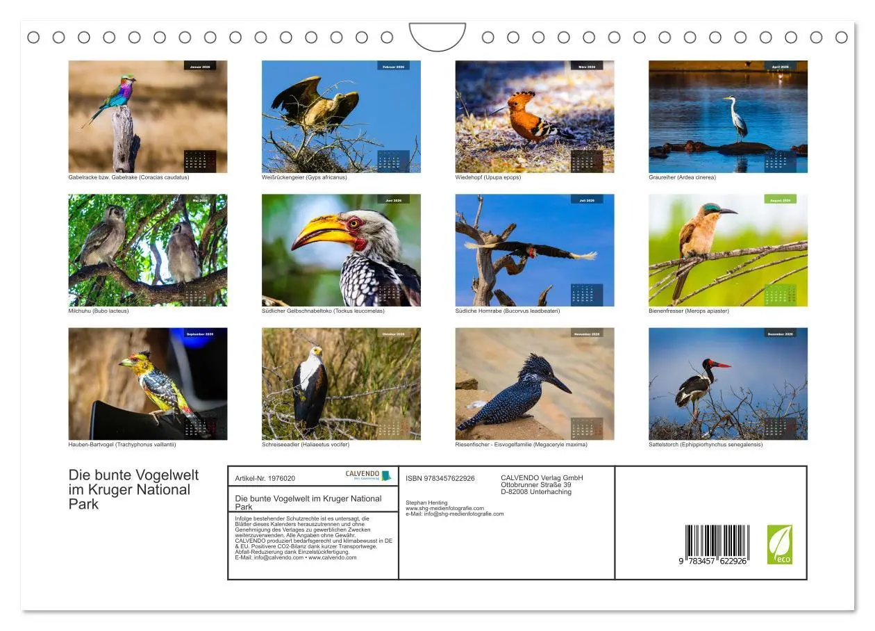 Bild: 9783457622926 | Die bunte Vogelwelt im Kruger National Park (Wandkalender 2026 DIN...