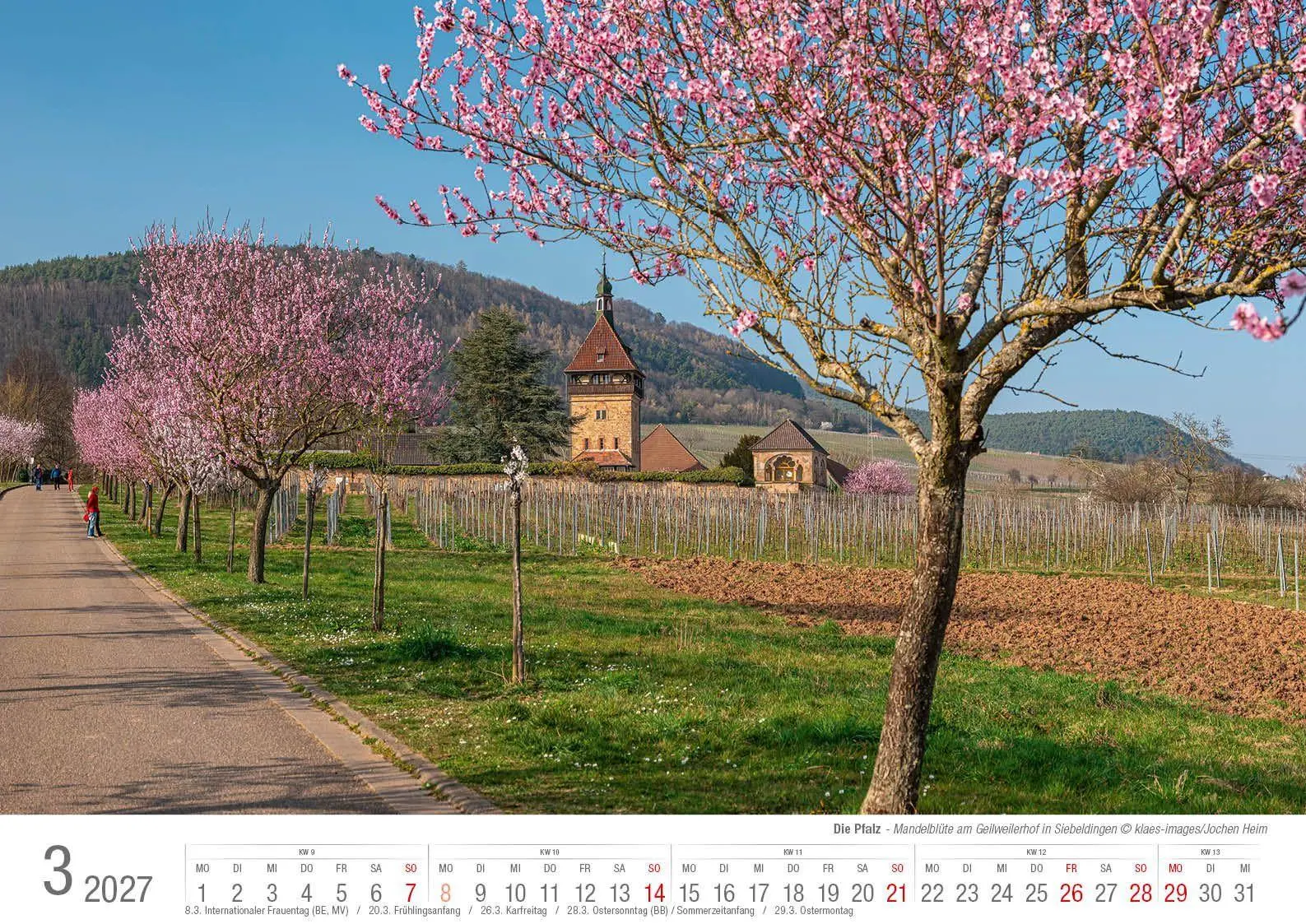 Bild: 9783965352926 | Die Pfalz 2027 Bildkalender A3 Spiralbindung | Holger Klaes | Kalender