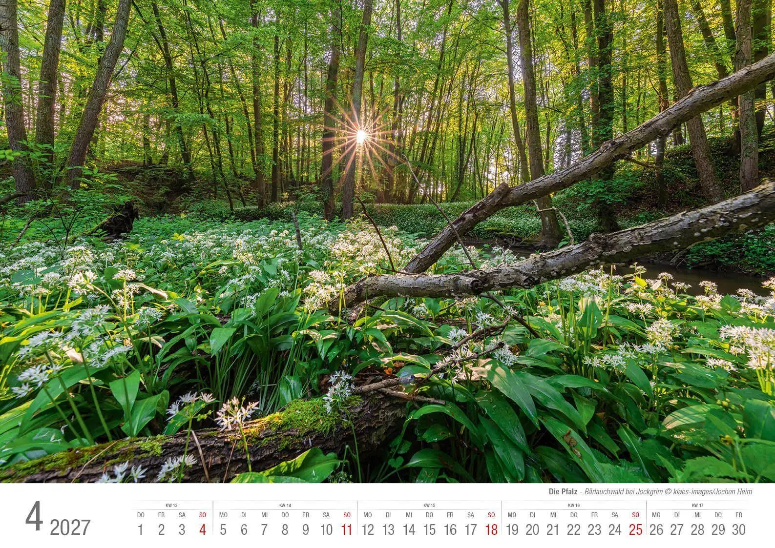 Bild: 9783965352926 | Die Pfalz 2027 Bildkalender A3 Spiralbindung | Holger Klaes | Kalender