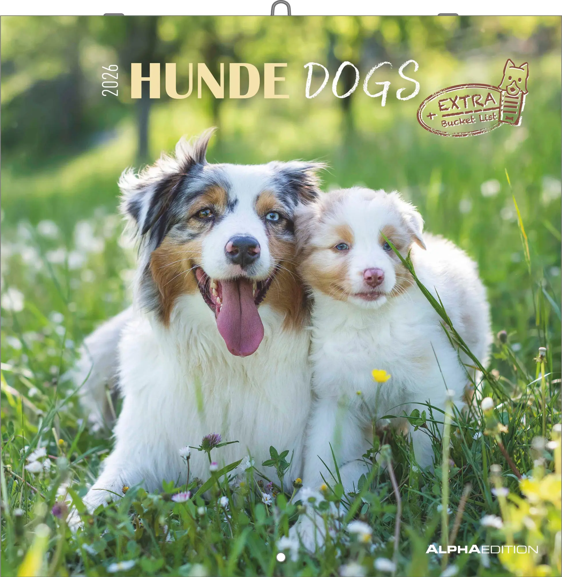Cover: 4069095003026 | Hunde 2026 - Broschürenkalender 30x30 cm (30x60 geöffnet) -...