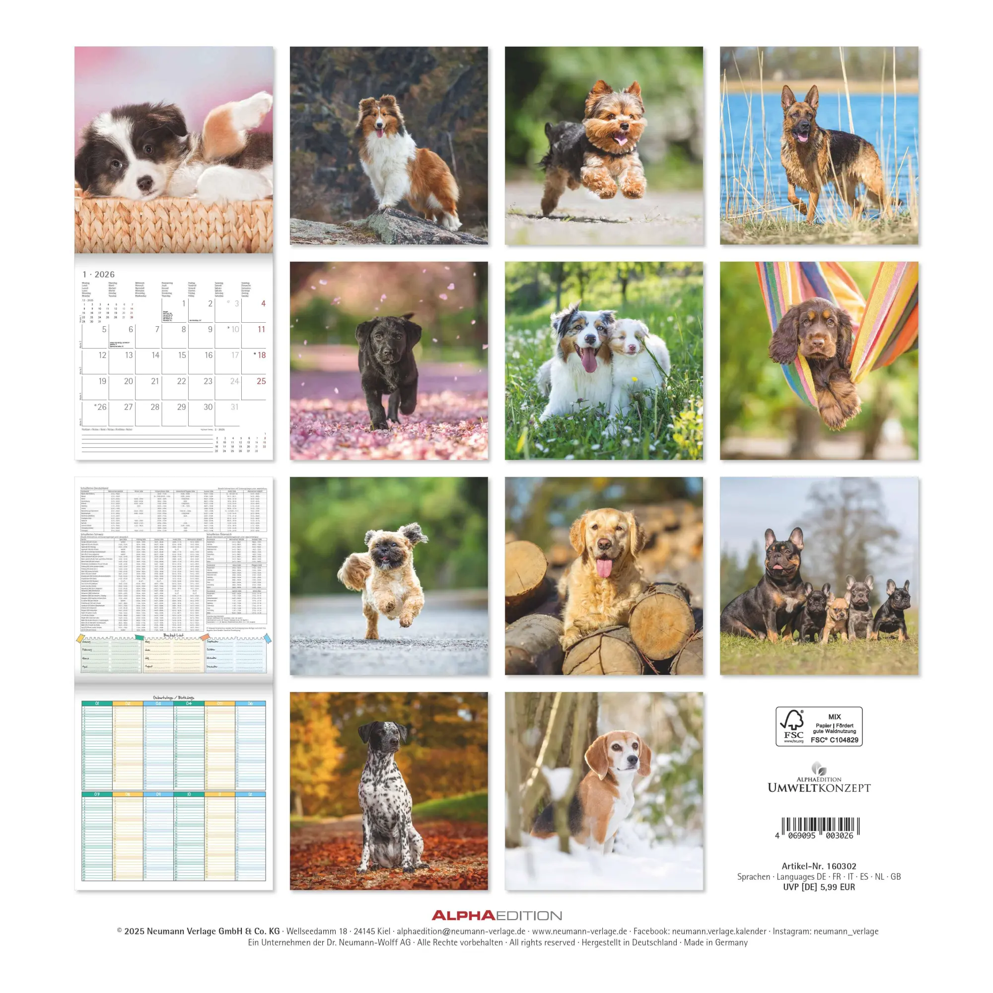 Rückseite: 4069095003026 | Hunde 2026 - Broschürenkalender 30x30 cm (30x60 geöffnet) -...