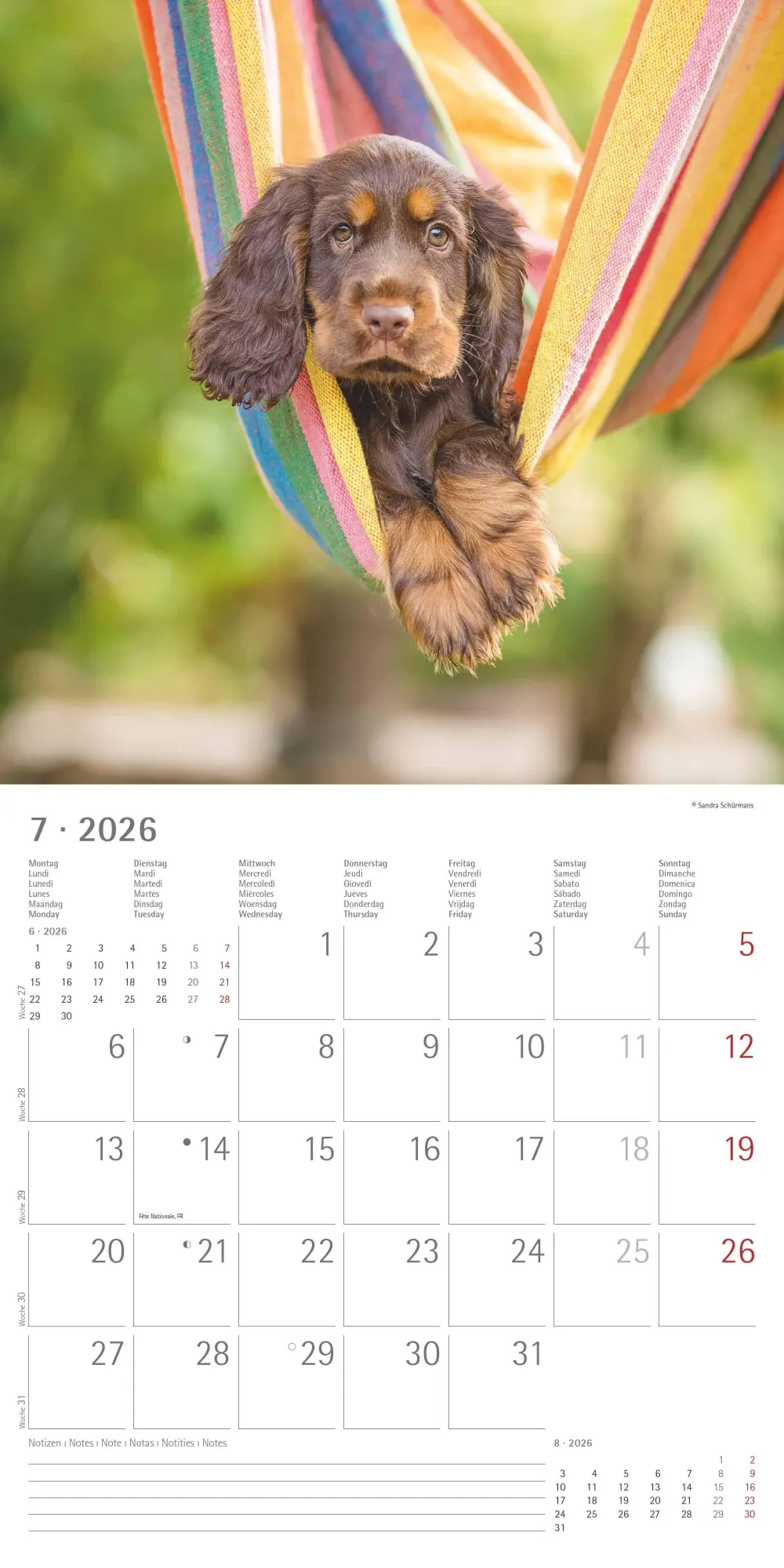 Bild: 4069095003026 | Hunde 2026 - Broschürenkalender 30x30 cm (30x60 geöffnet) -...