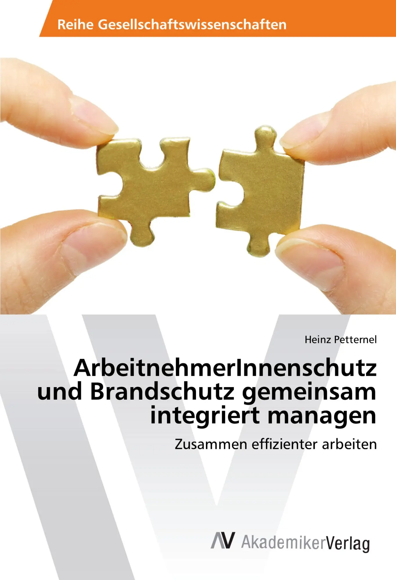 Cover: 9783639843026 | ArbeitnehmerInnenschutz und Brandschutz gemeinsam integriert managen