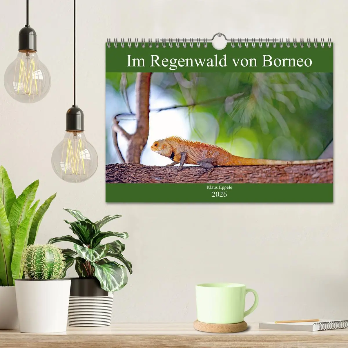 Bild: 9783457743126 | Im Regenwald von Borneo (Wandkalender 2026 DIN A4 quer), CALVENDO...