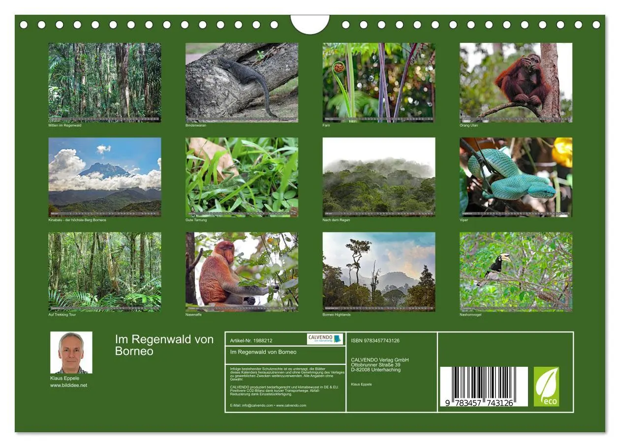 Bild: 9783457743126 | Im Regenwald von Borneo (Wandkalender 2026 DIN A4 quer), CALVENDO...