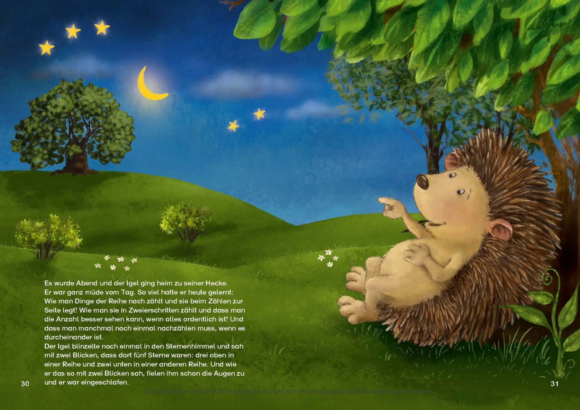 Bild: 9783497033126 | Der Igel, der jede Menge zählen konnte | Moritz Herzog (u. a.) | Buch