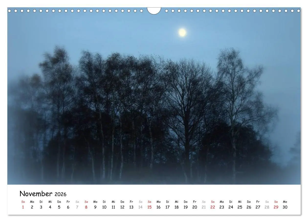 Bild: 9783516073126 | Unterwegs im Teufelsmoor (Wandkalender 2026 DIN A3 quer), CALVENDO...