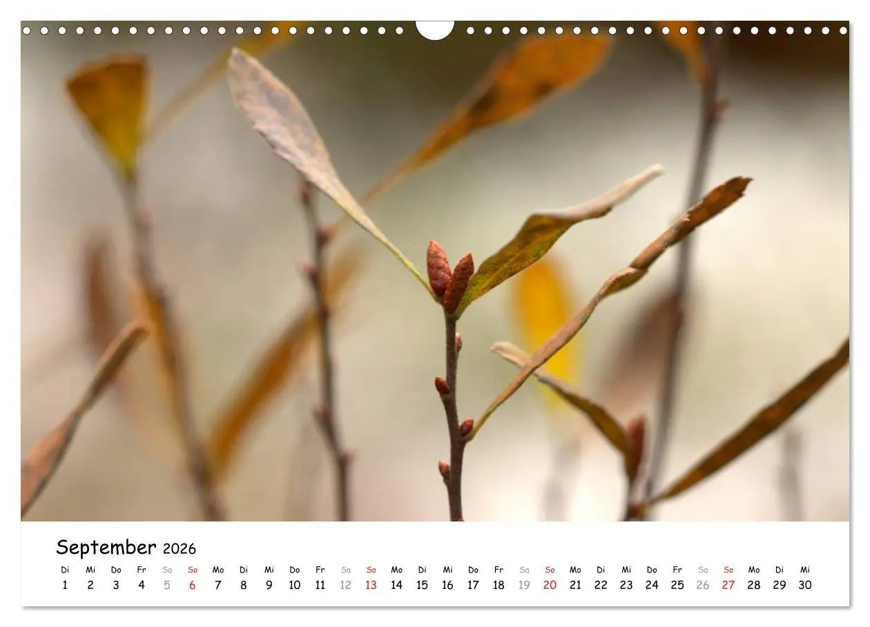 Bild: 9783516073126 | Unterwegs im Teufelsmoor (Wandkalender 2026 DIN A3 quer), CALVENDO...