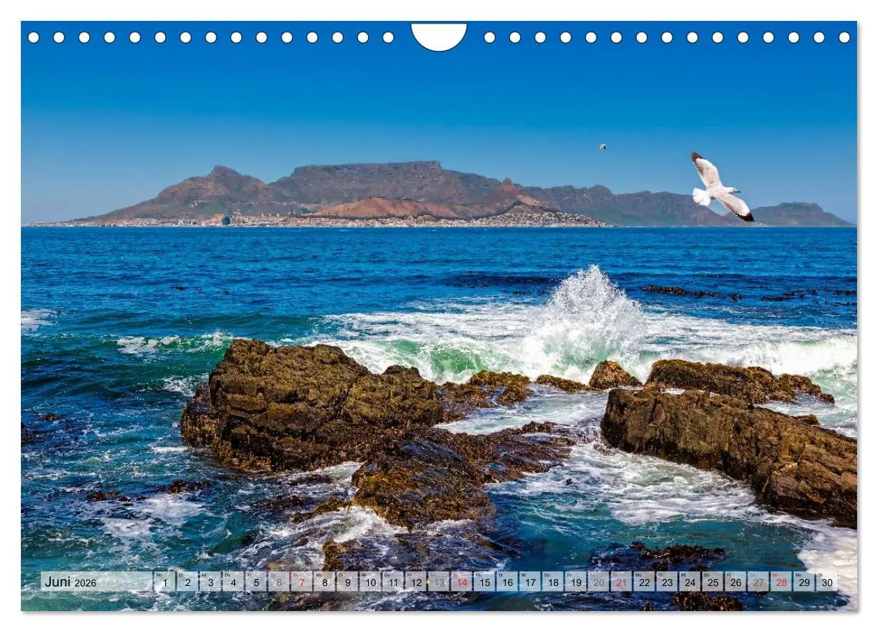 Bild: 9783516213126 | Westkap Südafrika (Wandkalender 2026 DIN A4 quer), CALVENDO...