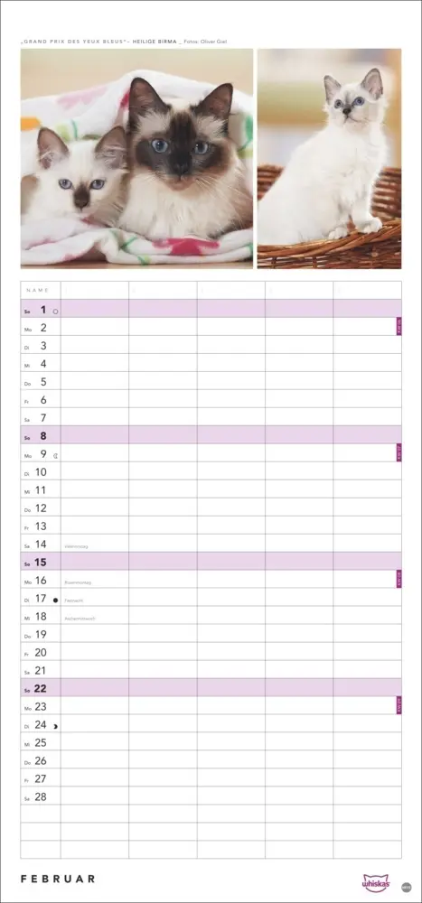 Bild: 9783756413126 | Whiskas Familienplaner 2026 | Kalender | Familienplaner Athesia | 2026