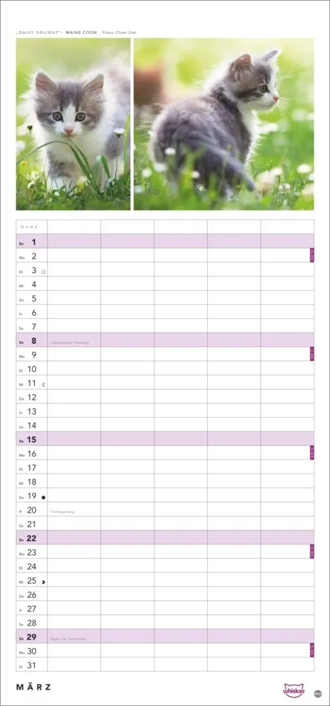 Bild: 9783756413126 | Whiskas Familienplaner 2026 | Kalender | Familienplaner Athesia | 2026