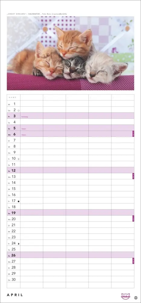 Bild: 9783756413126 | Whiskas Familienplaner 2026 | Kalender | Familienplaner Athesia | 2026