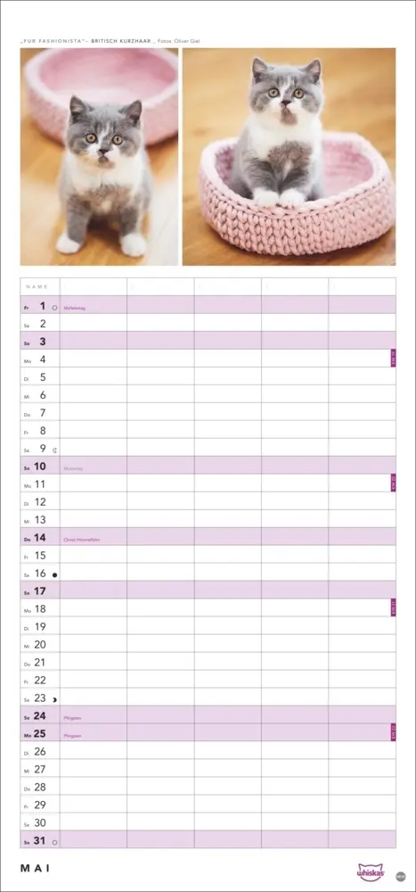 Bild: 9783756413126 | Whiskas Familienplaner 2026 | Kalender | Familienplaner Athesia | 2026