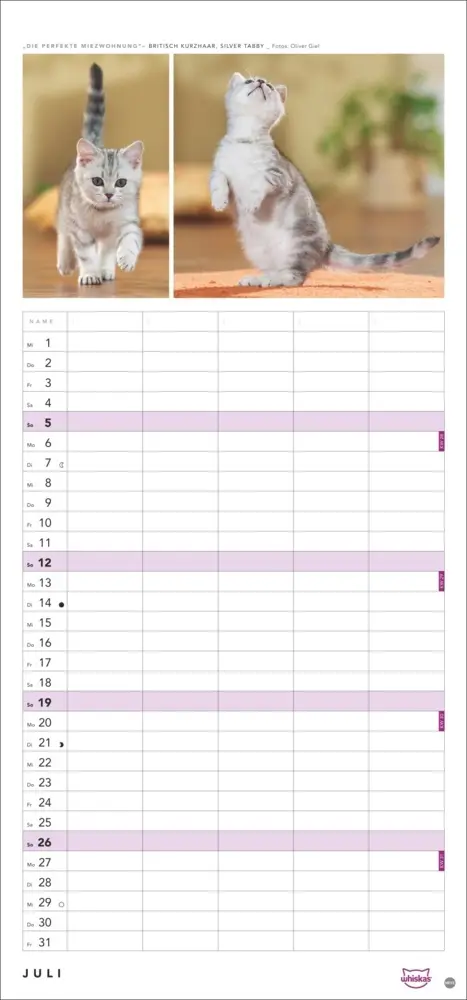 Bild: 9783756413126 | Whiskas Familienplaner 2026 | Kalender | Familienplaner Athesia | 2026