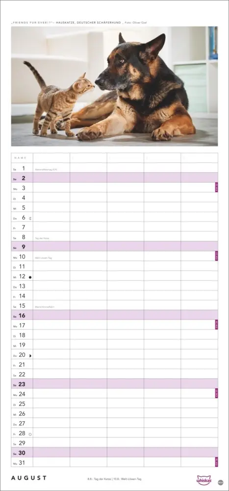 Bild: 9783756413126 | Whiskas Familienplaner 2026 | Kalender | Familienplaner Athesia | 2026