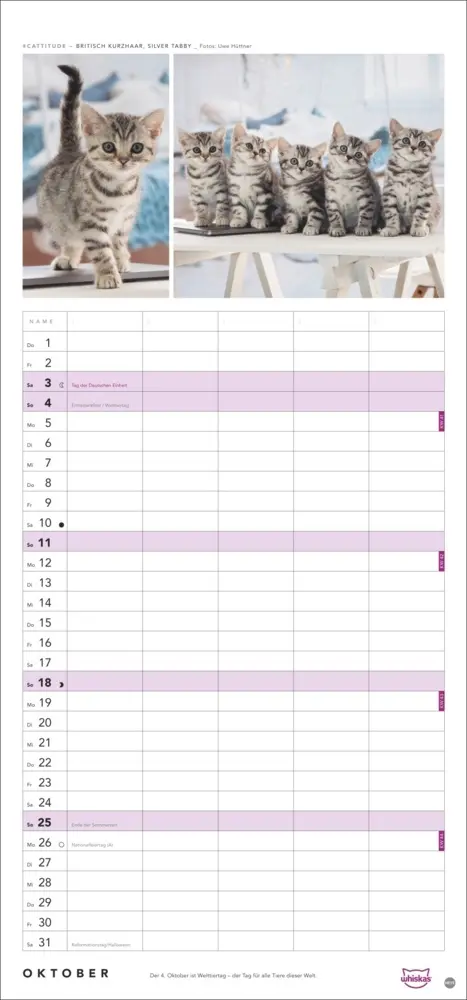 Bild: 9783756413126 | Whiskas Familienplaner 2026 | Kalender | Familienplaner Athesia | 2026