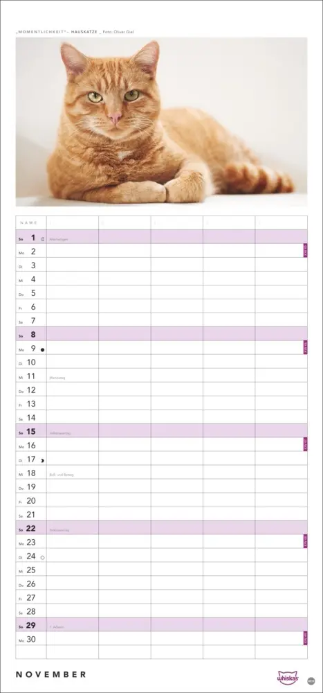 Bild: 9783756413126 | Whiskas Familienplaner 2026 | Kalender | Familienplaner Athesia | 2026