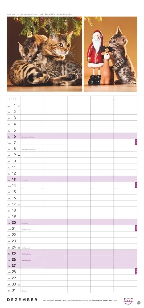 Bild: 9783756413126 | Whiskas Familienplaner 2026 | Kalender | Familienplaner Athesia | 2026