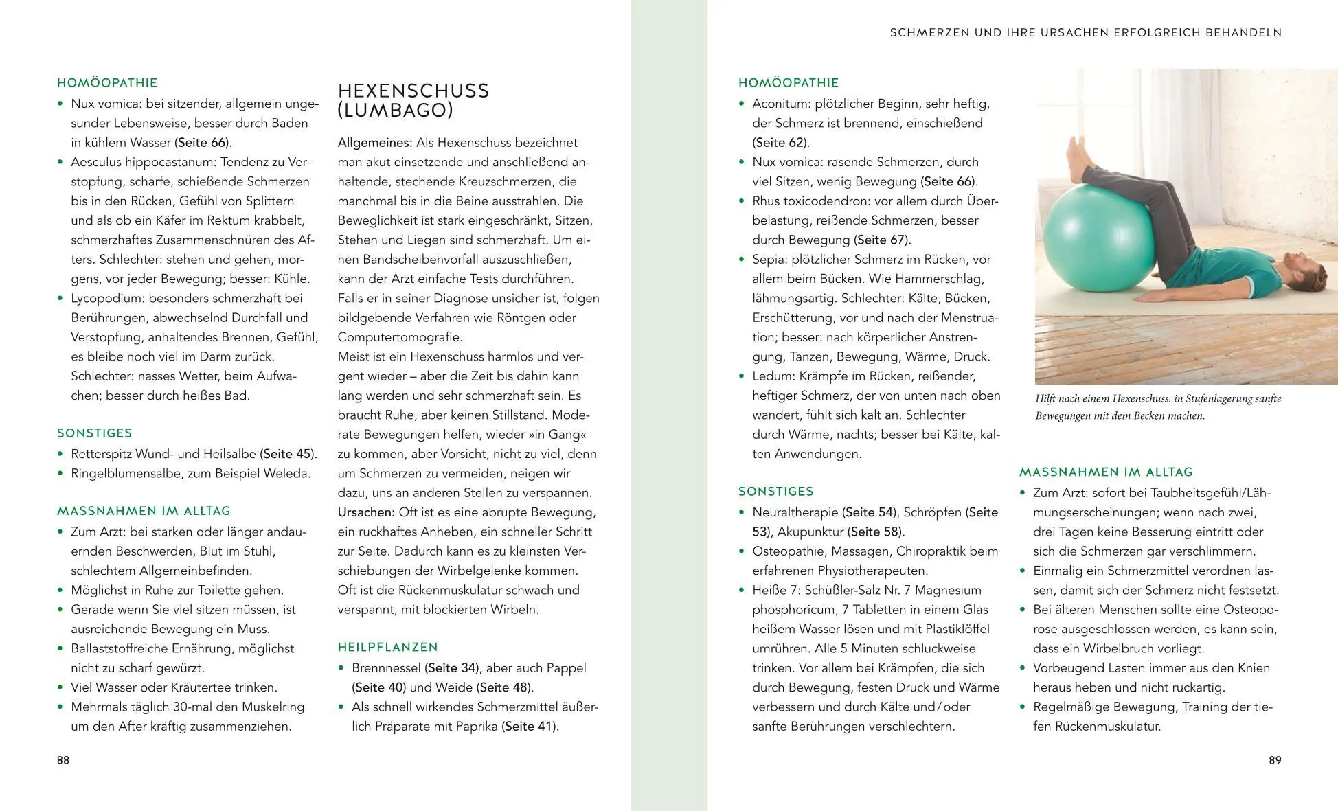 Bild: 9783833873126 | Natürliche Schmerzkiller | Aruna M. Siewert | Taschenbuch | 128 S.