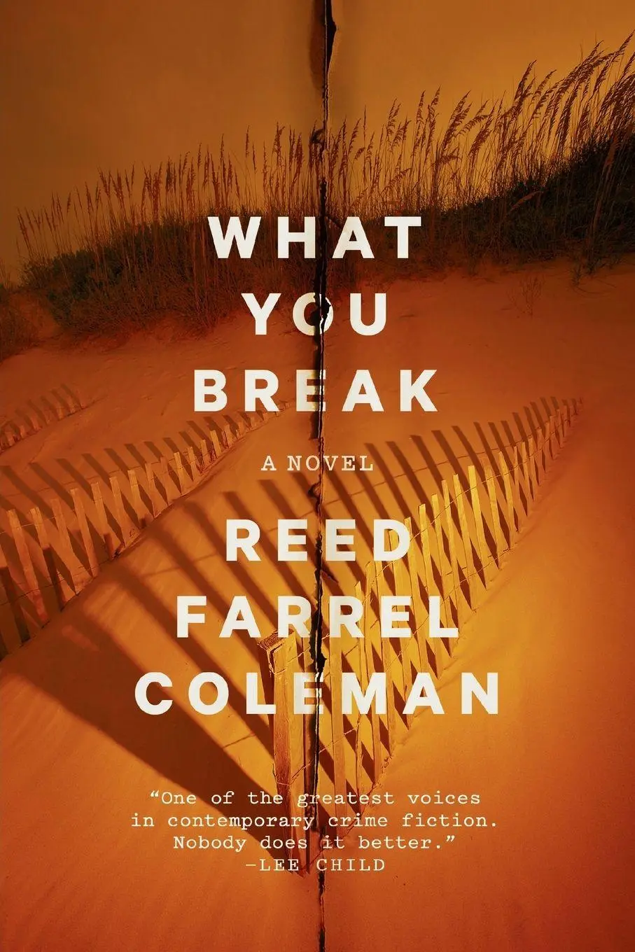 Cover: 9780425283226 | What You Break | Reed Farrel Coleman | Taschenbuch | Englisch | 2018