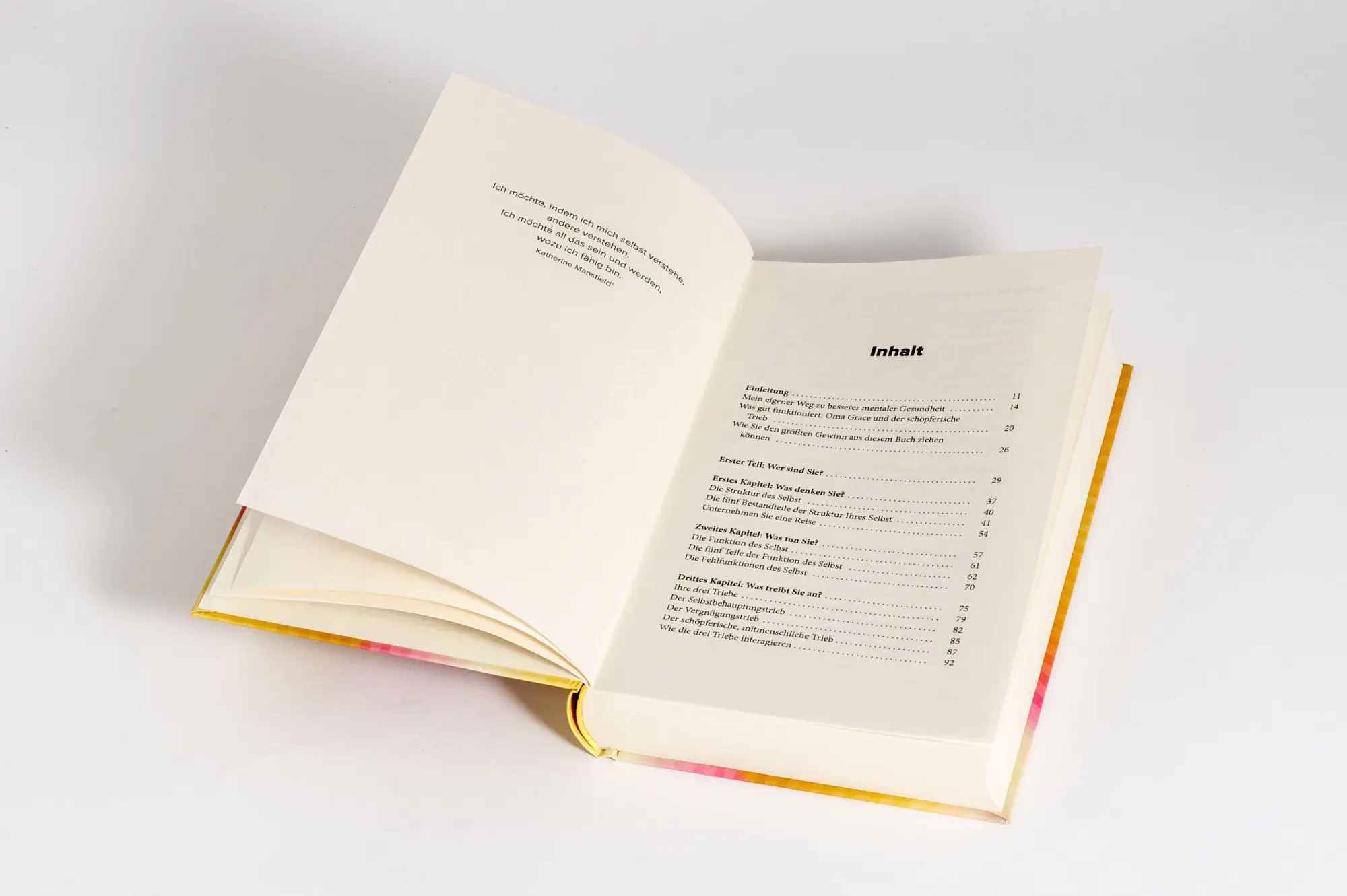 Bild: 9783424203226 | What's Going Right | Paul Conti | Buch | 288 S. | Deutsch | 2026
